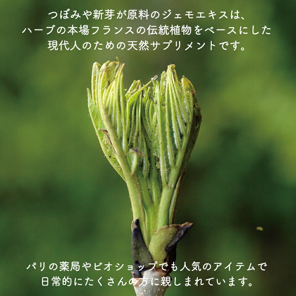 楽天市場】ジェモセラピー クルミ おなか バランス 腸活 無添加 無農薬