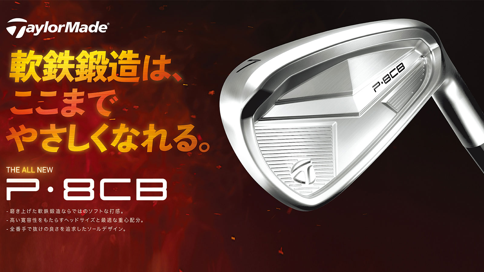 楽天市場 | EX GOLF - テーラーメイド P8CB アイアン