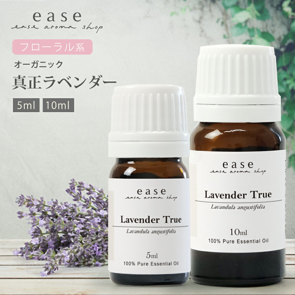 o_lavender_true.jpg