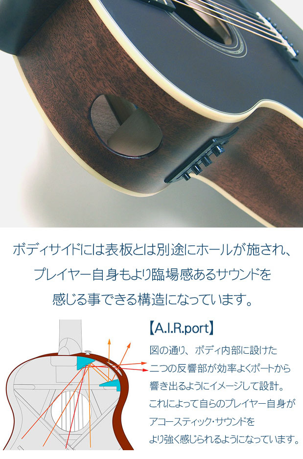 楽天市場】Ibanez アイバニーズ AE100 DBF エレアコ アコースティック