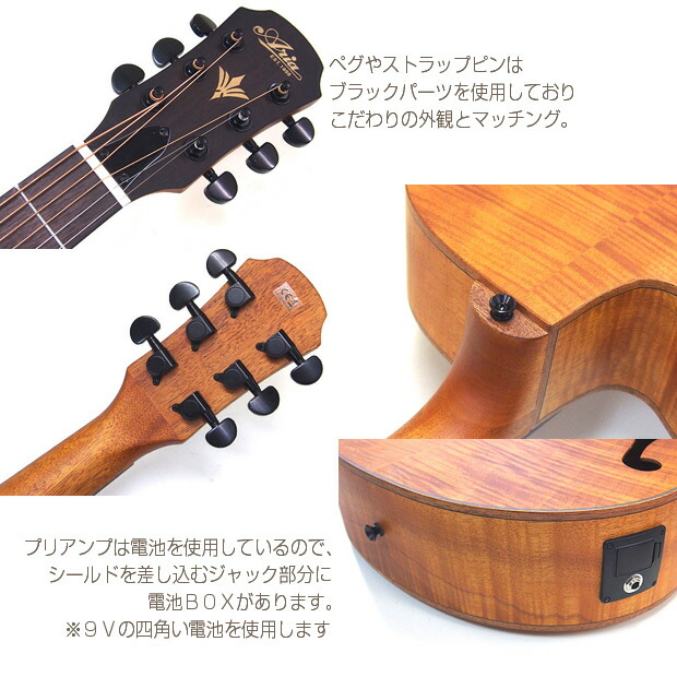 楽天市場】エレアコ アリア ARIA FET-F2 アコギ 6点セット