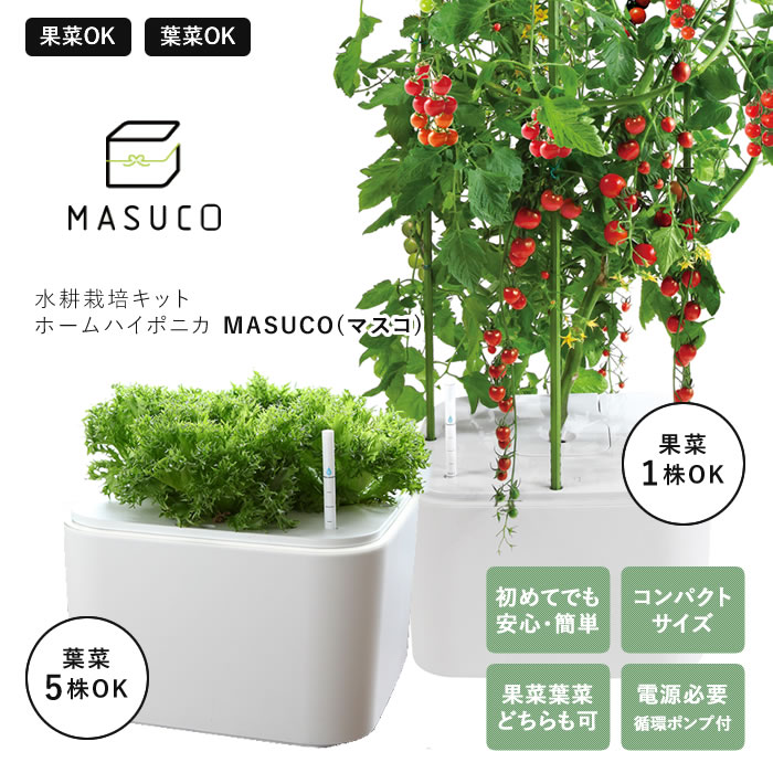 楽天市場】水耕栽培キット 水耕栽培 キット 栽培セット ハイポニカ