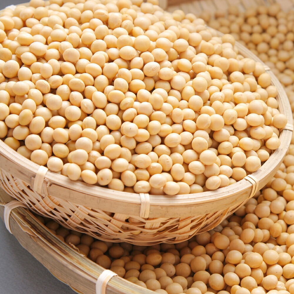 楽天市場】令和7年度産【大豆 / ことゆたか】白大豆 5kg【送料無料