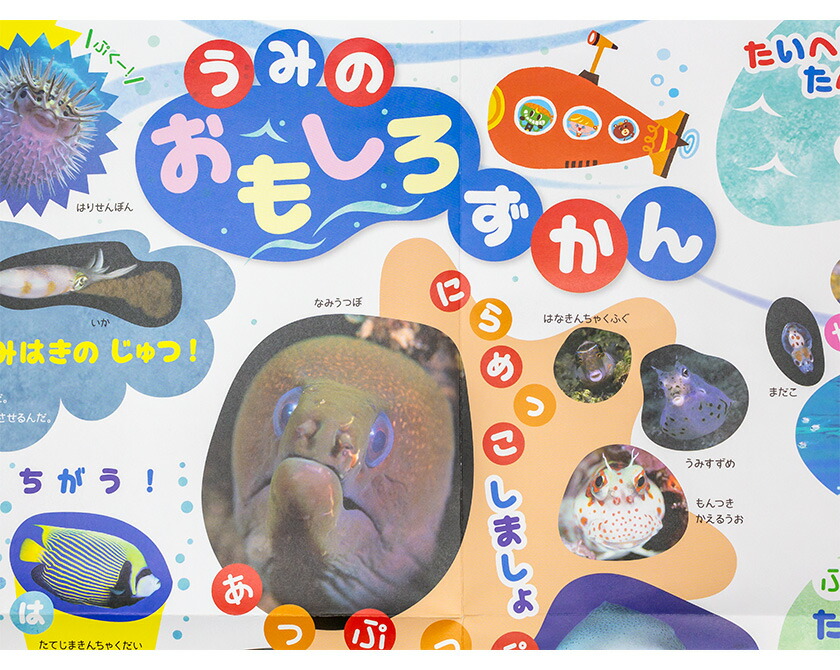 楽天市場】ポピっこあかどり なつドリるん 送料無料 正規販売店