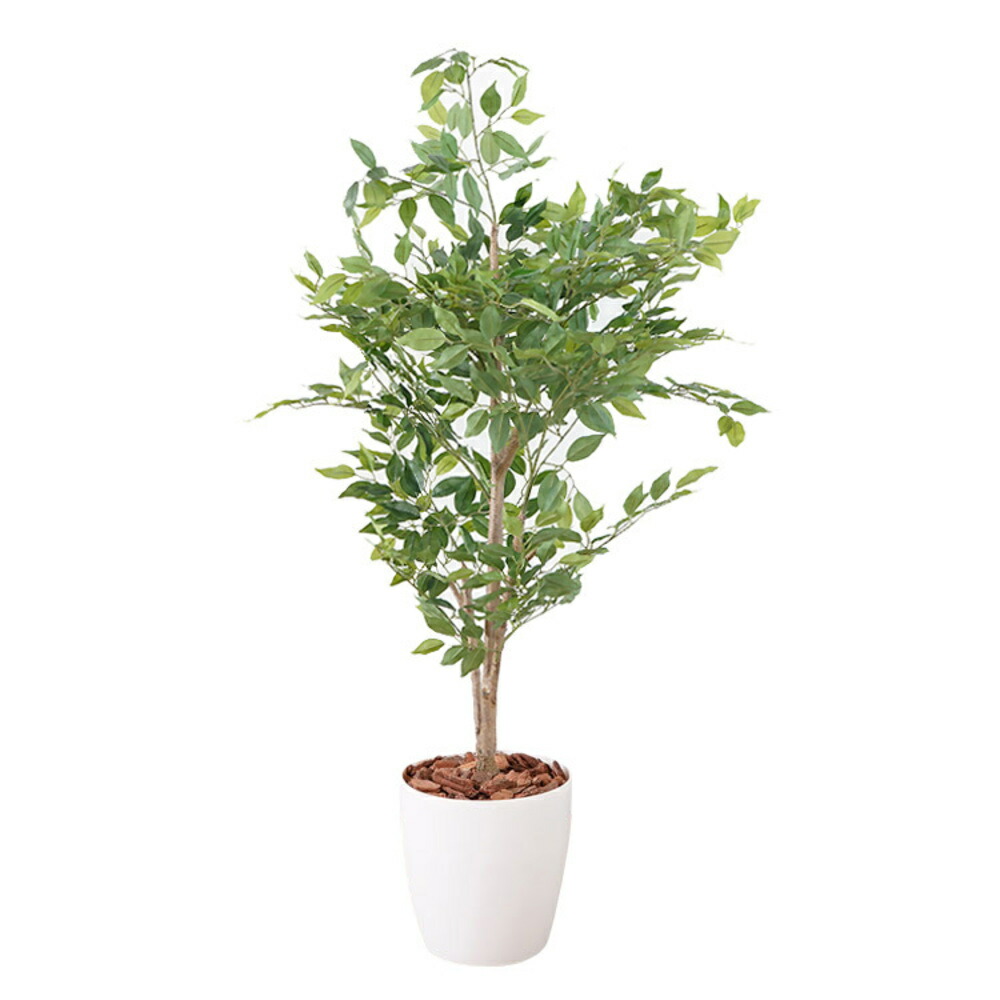 楽天市場】fejka フェイカ 人工観葉植物, ベンジャミンの通販