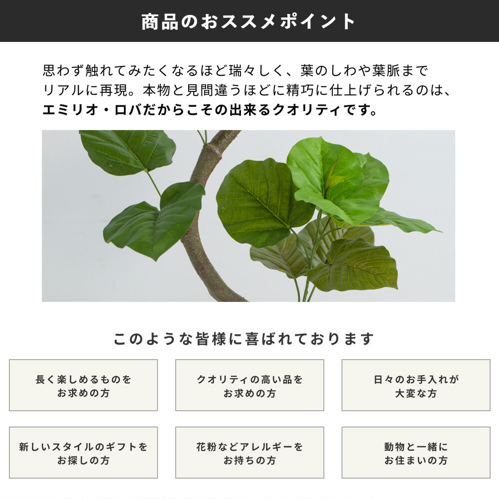 楽天市場】観葉植物 ユッカラン4L 造花 インテリア おしゃれ 大型