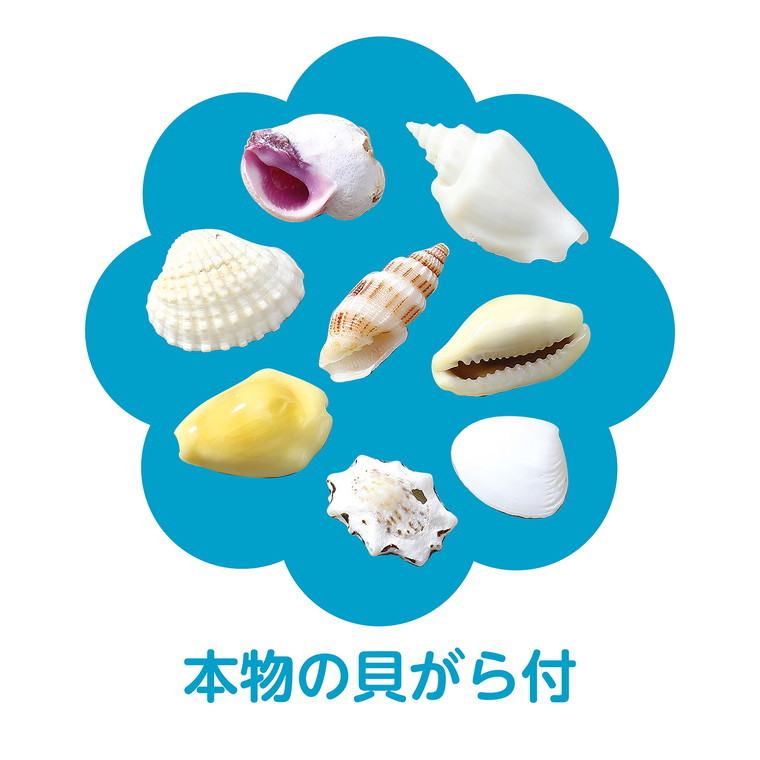 楽天市場】ジェルキャンドルでつくる 手づくり海キャンドル 1セット入