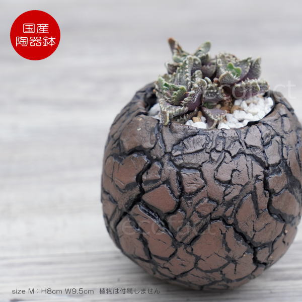 楽天市場】陶器鉢 植木鉢 ミニポット 底穴あり 丸型 アース（ブラウン