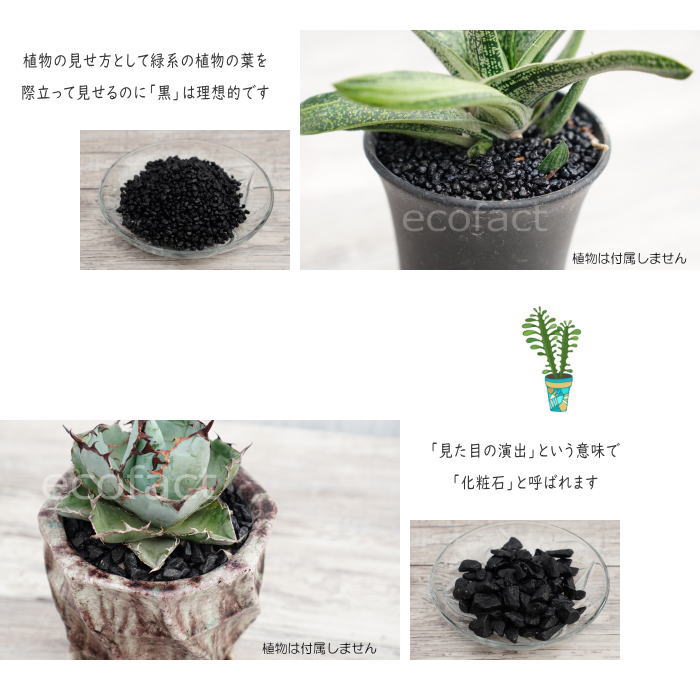 楽天市場】化粧石 黒 飾り石 小粒（約3mm〜5mm）1kg 化粧砂 ブラック