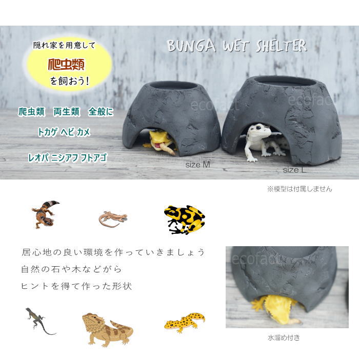 楽天市場】爬虫類 ウェット シェルター レオパ ブラック Lサイズ 黒無