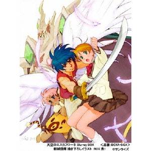 楽天市場】天空のエスカフローネ DVD（アニメ｜Blu-ray）：CD・DVDの通販
