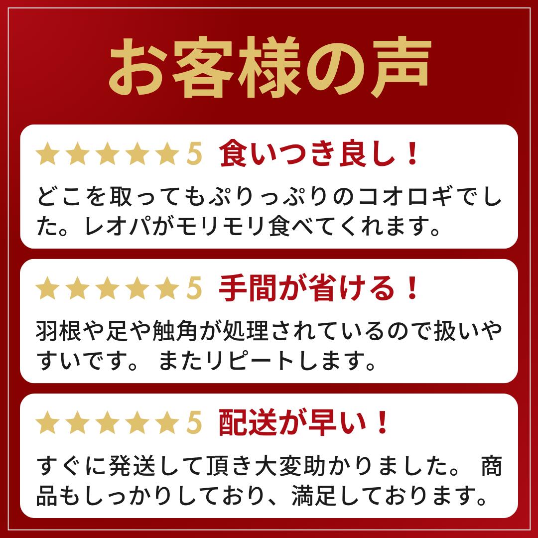 楽天市場】冷凍コオロギ ML 100g 300g 500g 1kg 送料無料 1.5cm-2cm程