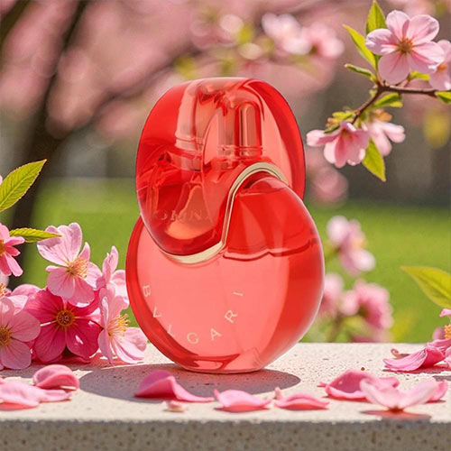 楽天市場】グッチ GUCCI フローラ ゴージャス オーキッド