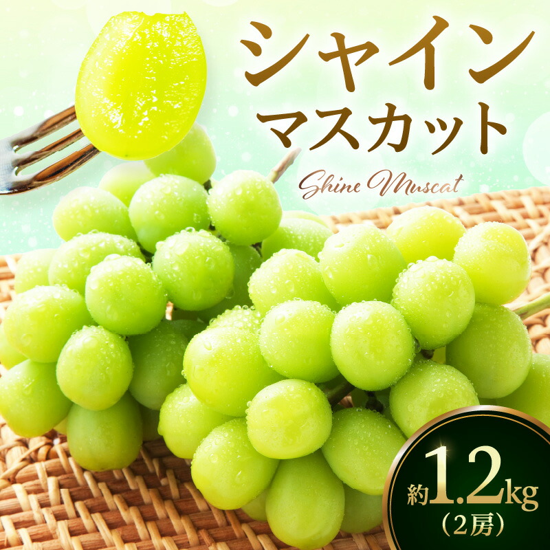 楽天市場】【ふるさと納税】【 数量限定 】令和7年産 伊万里 シャイン