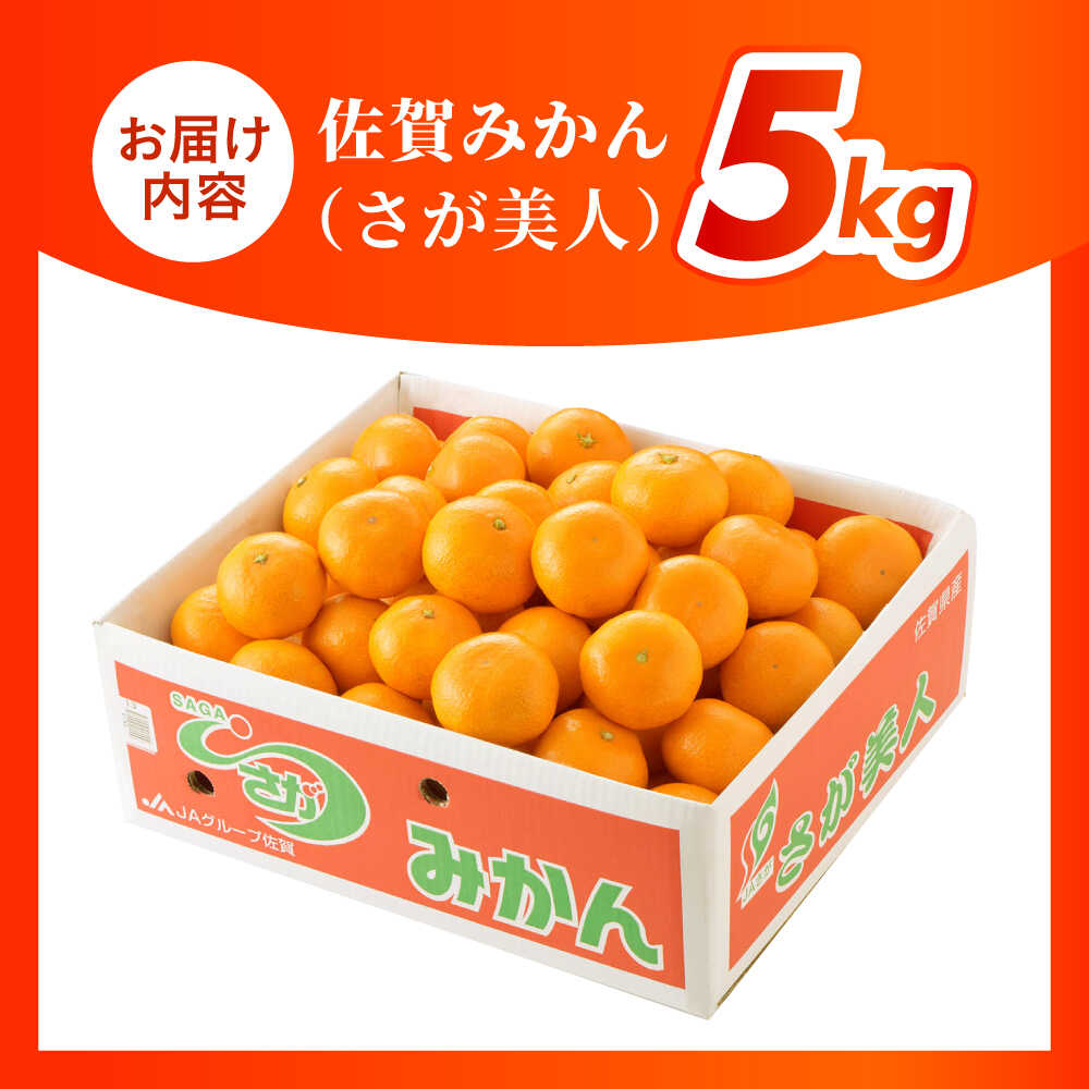 楽天市場】【ふるさと納税】 佐賀みかん （さが美人）5kg 【JAさが