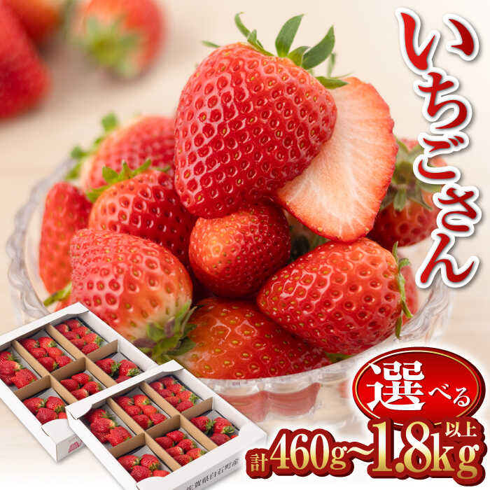 楽天市場】【ふるさと納税】【2026年1月以降発送】いちごさん〈選べる
