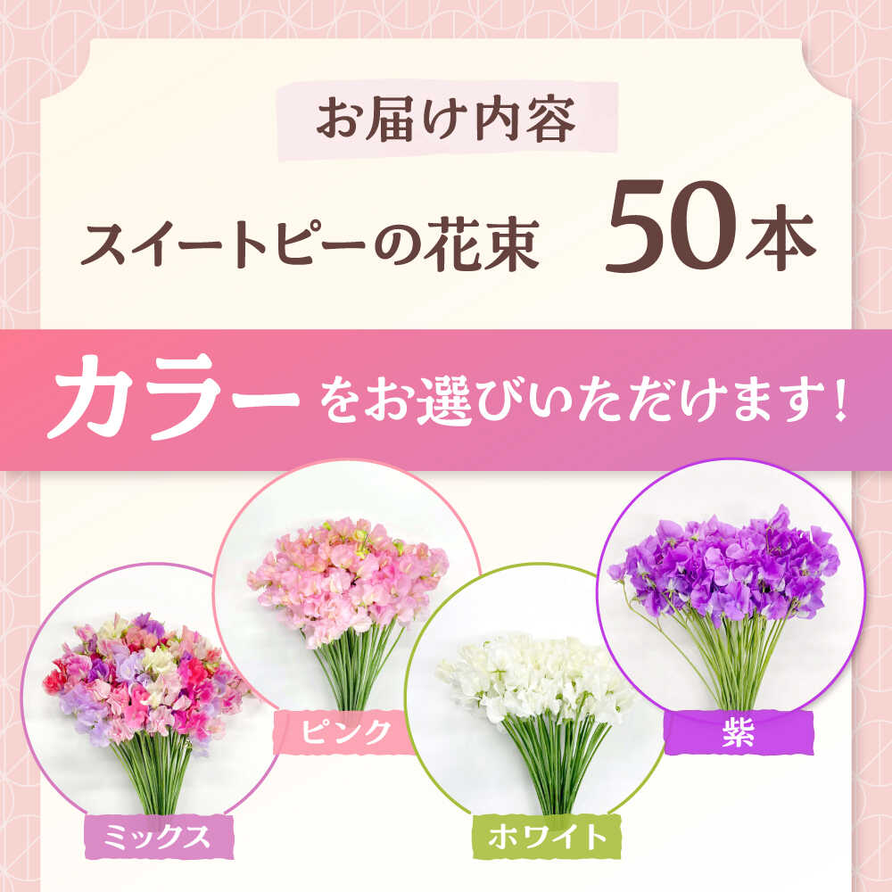 楽天市場】【ふるさと納税】【2026年1月以降発送】【選べるカラー