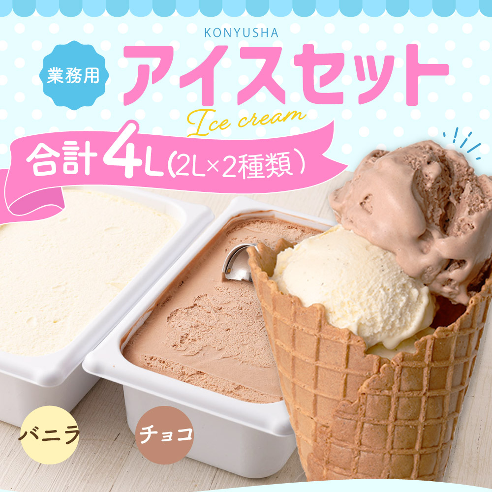 楽天市場】【ふるさと納税】 業務用 2Lアイス セット 合計4L 2L×2種類