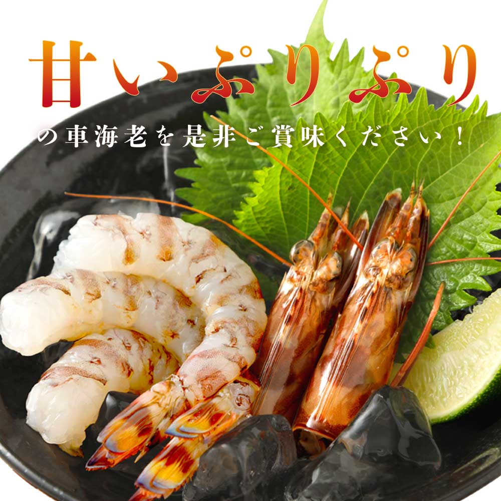 楽天市場】【ふるさと納税】えび 熊本県産 急速冷凍 車海老 【選べる