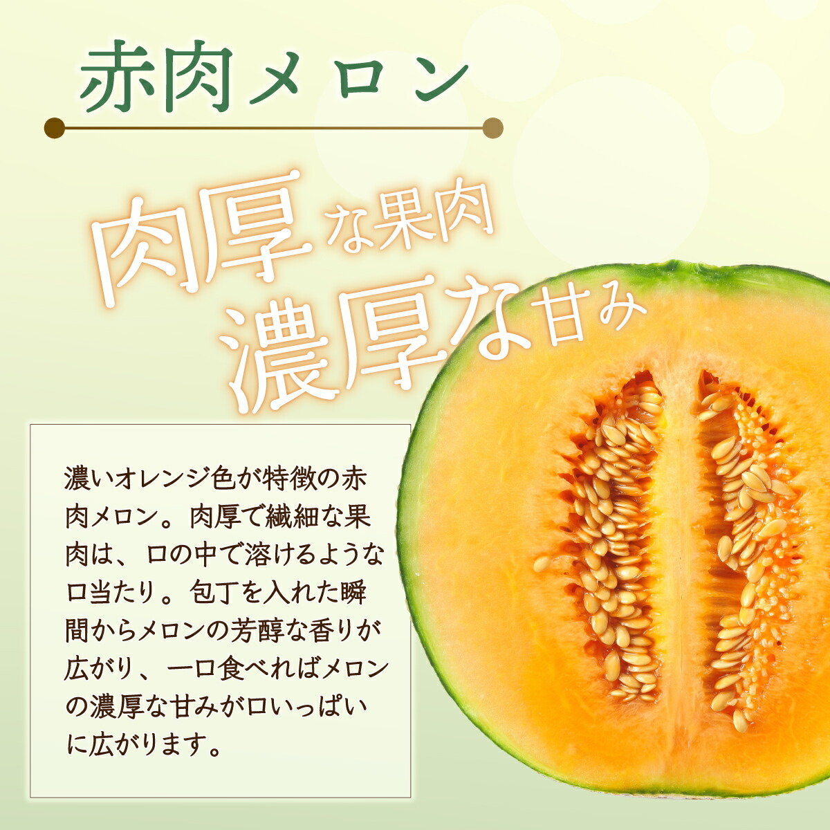 楽天市場】【ふるさと納税】【2026年先行予約】北海道産 有珠メロン 2