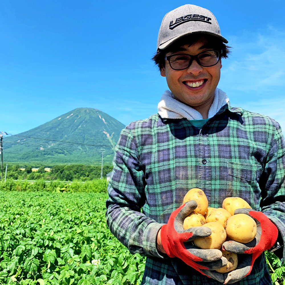 楽天市場】【ふるさと納税】【訳あり】北海道産じゃがいも 男爵