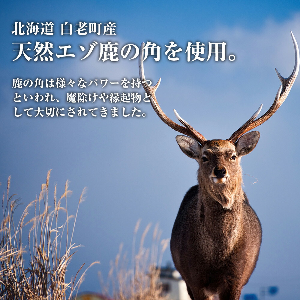 楽天市場】【ふるさと納税】エゾシカ 角 マグネット 冷蔵庫 鹿角