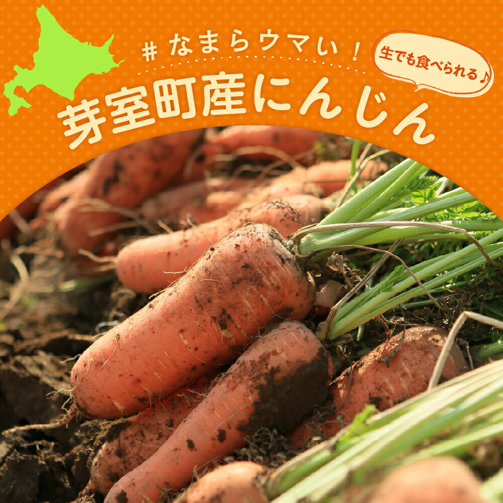 楽天市場】【ふるさと納税】【先行受付】【2026年10月上旬より発送