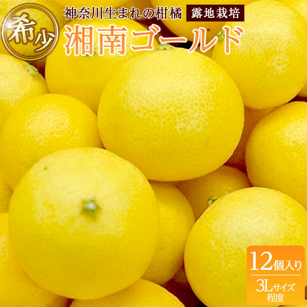 楽天市場】【ふるさと納税】〈超希少商品〉神奈川生まれの柑橘 ハウス