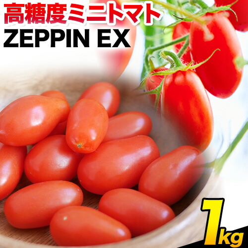 楽天市場】【ふるさと納税】ZEPPIN EX(エクセレント)1kg 平均糖度12度