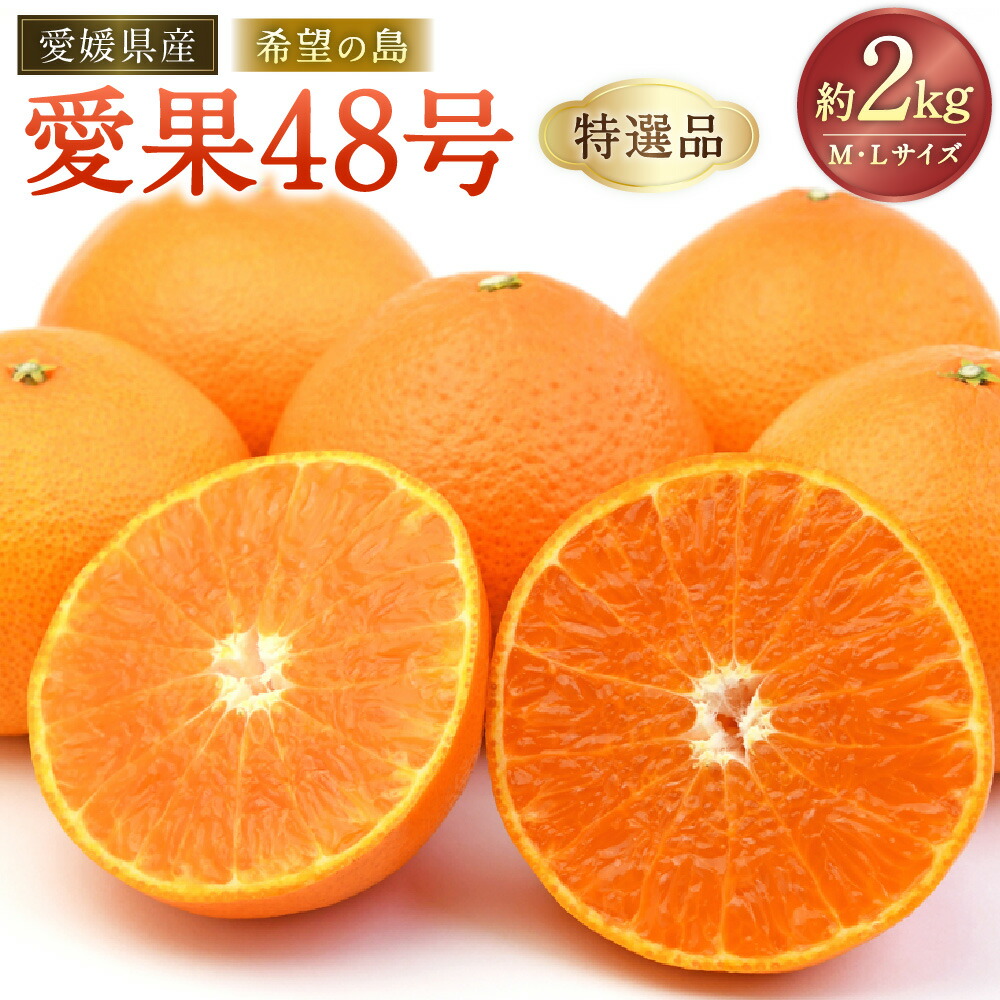 楽天市場】中島みゆきCD-BOX 1976〜1983 CD10枚組 DMW-936 豪華歌詞