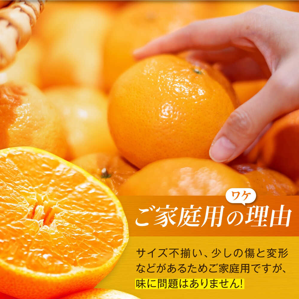 楽天市場】【ふるさと納税】【2026年2月中旬から順次発送】【ご家庭用