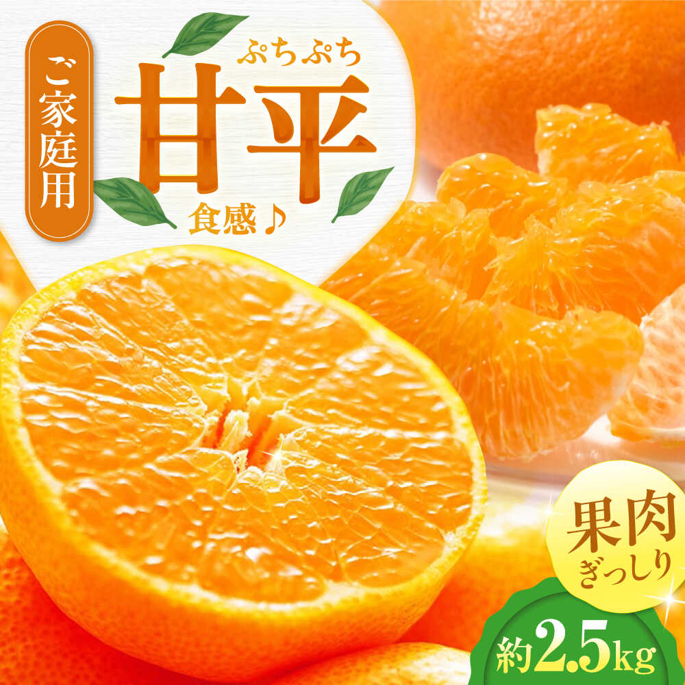 楽天市場】【ふるさと納税】【2026年2月中旬から順次発送】【ご家庭用