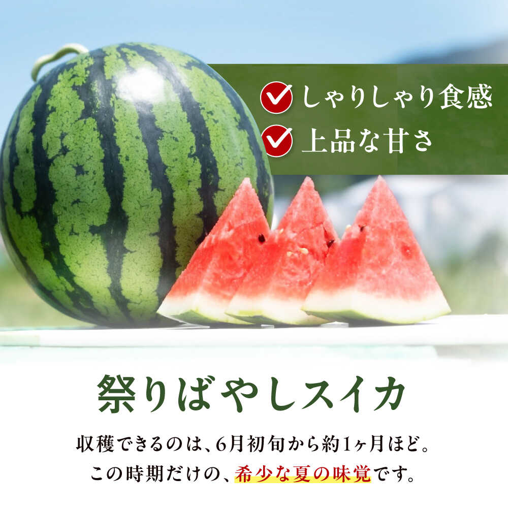 楽天市場】【ふるさと納税】スイカ 【先行予約】【2026年6月上旬から