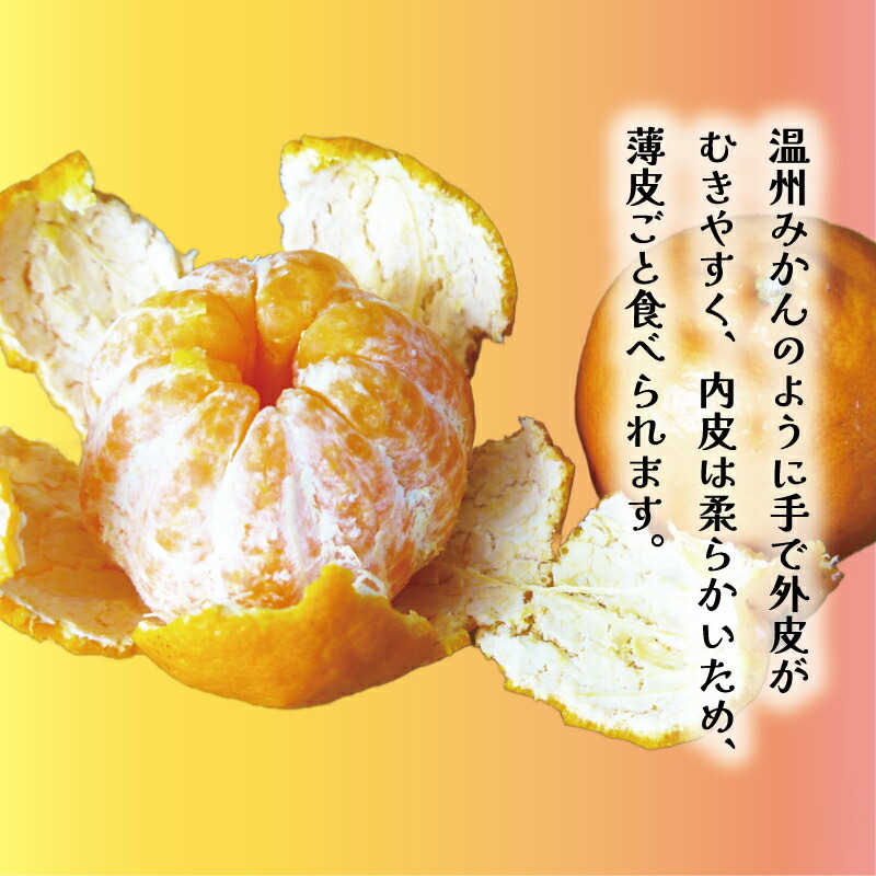 楽天市場】【ふるさと納税】 【高評価☆4.64】 数量限定 順次発送