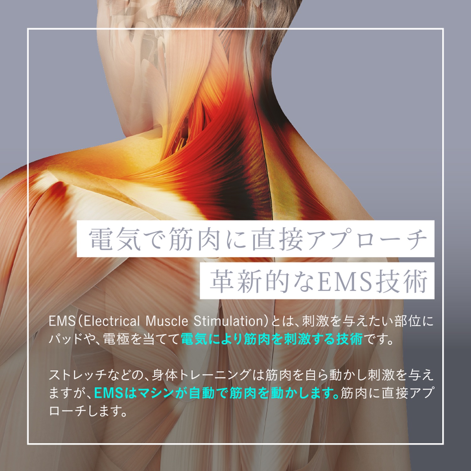 楽天市場】EMS リラックスループ 肩 首 ネック リラックス 温熱モード