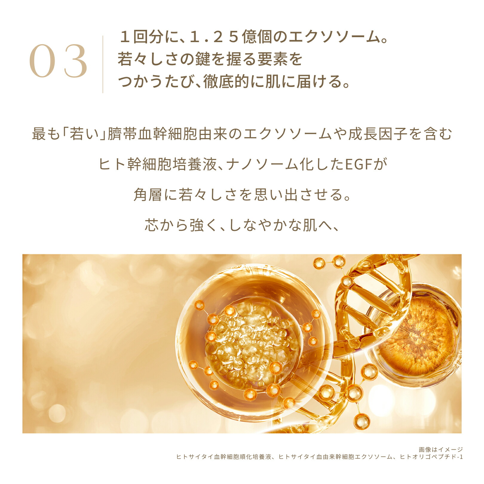 楽天市場】リニューアレイジ アンロックセラム 引き締め 美容液 ハリ