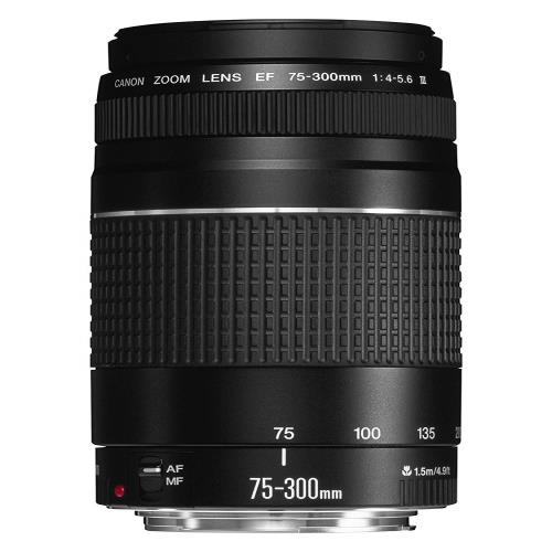 ef75-300mm f4-5.6」の人気商品一覧 | 安い商品を通販サイトから探す