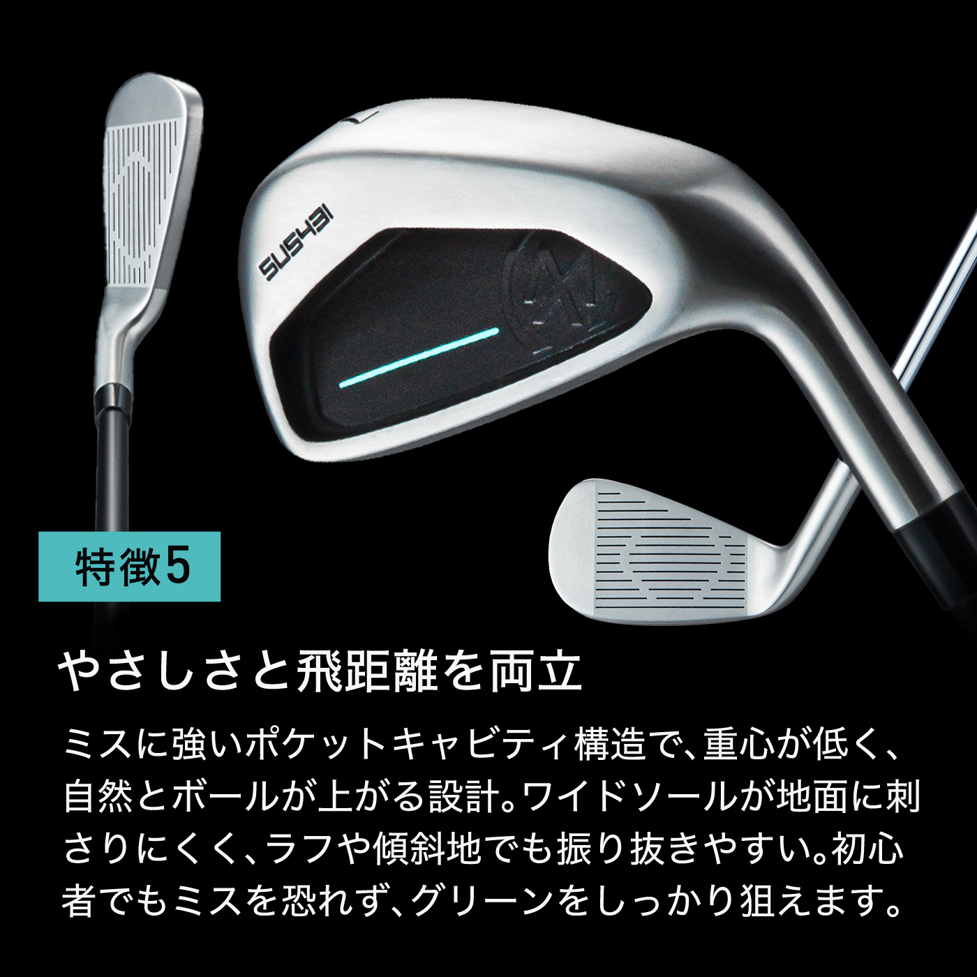 楽天市場】＼半額祭／LINE登録で500円OFF☆贅沢 ゴルフクラブセット