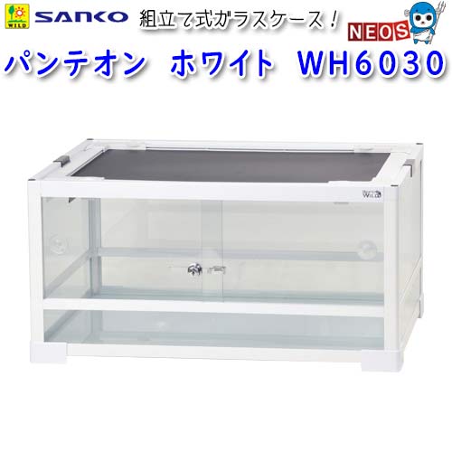 楽天市場】パンテオン ホワイト 6035の通販