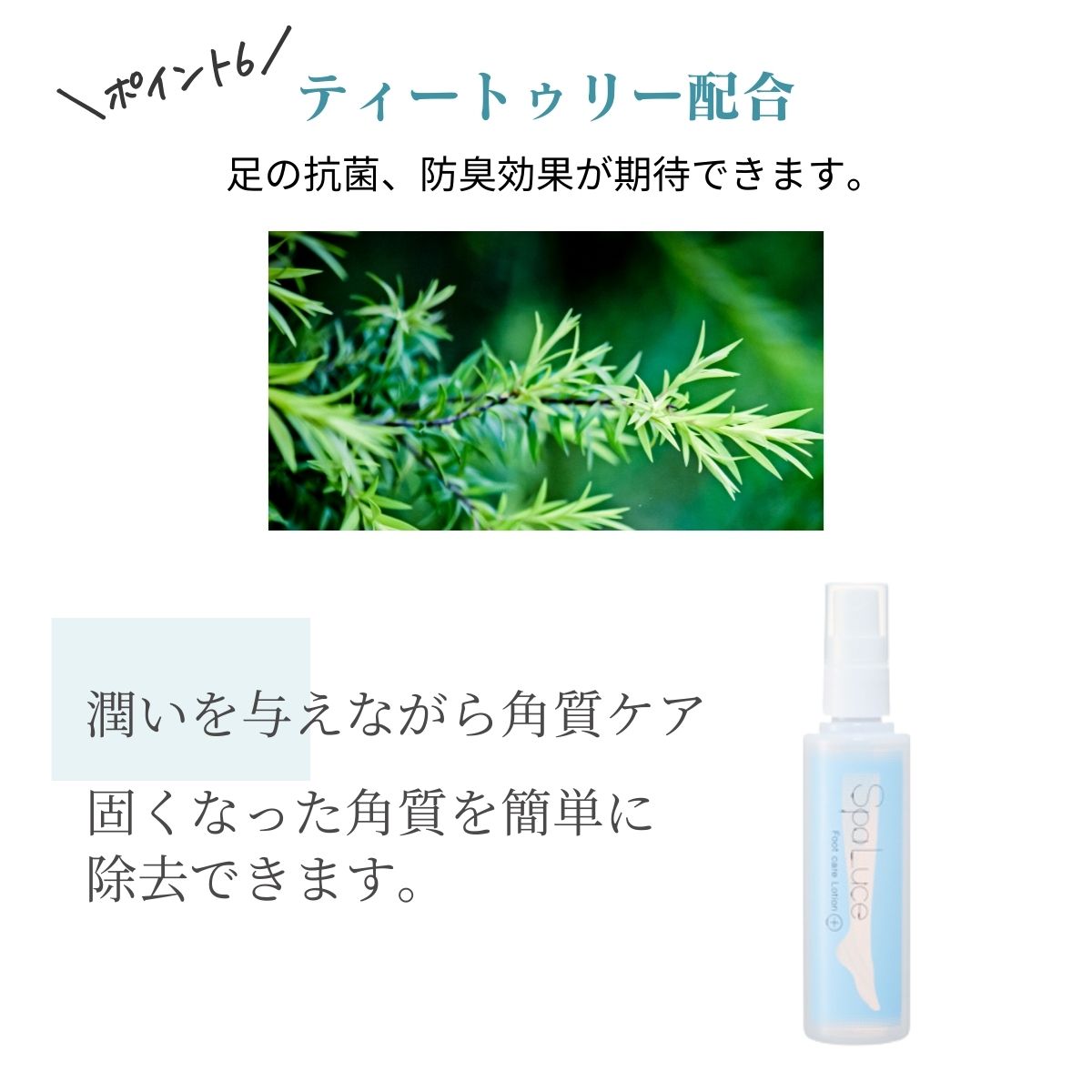 楽天市場】SpaLuce フットケアセット フットケア ローション フット