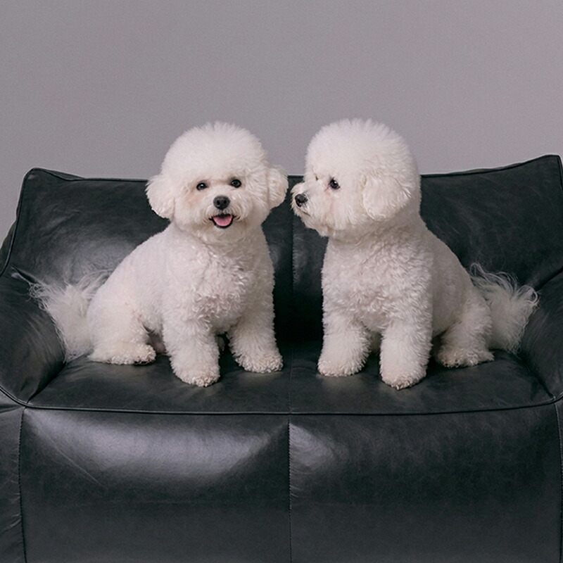 楽天市場】【韓国発フレジア】トム・ビーズクッションソファ 2人掛け