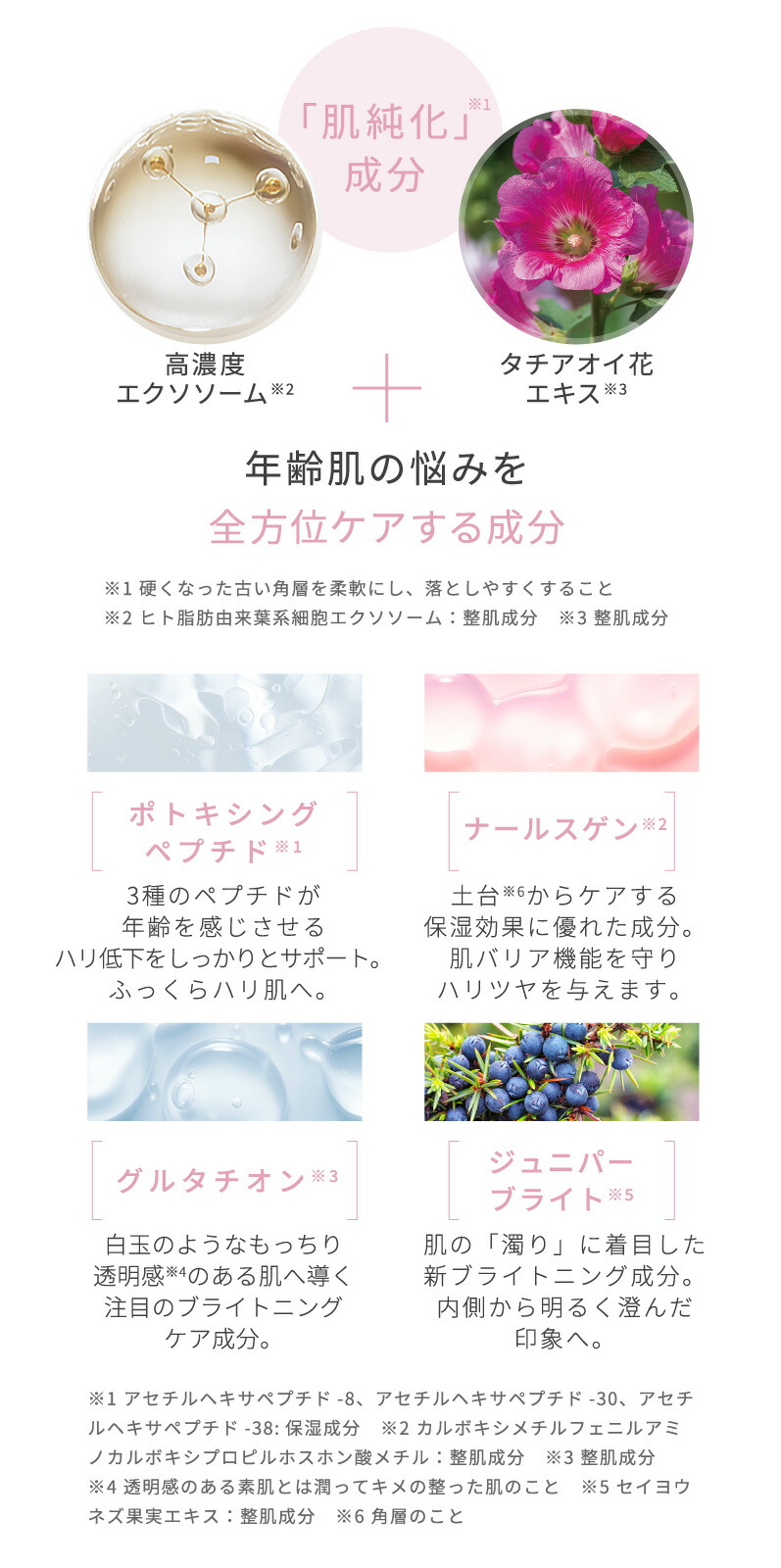 楽天市場】【2/28限定10％OFFクーポン＆P10倍】オールインワン 美容