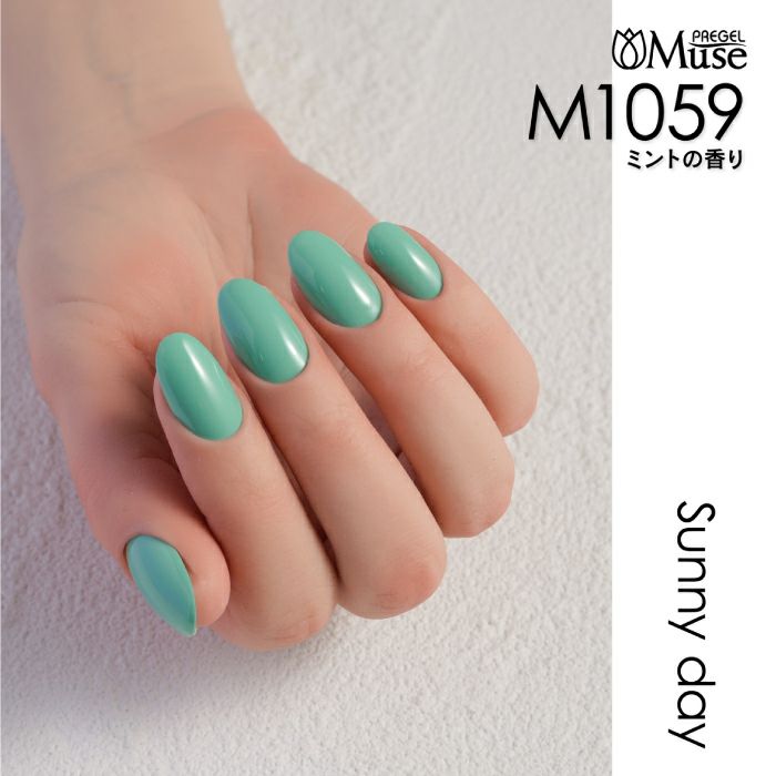 楽天市場】PREGEL プリジェル ミューズ サニーデイシリーズ 6色セット