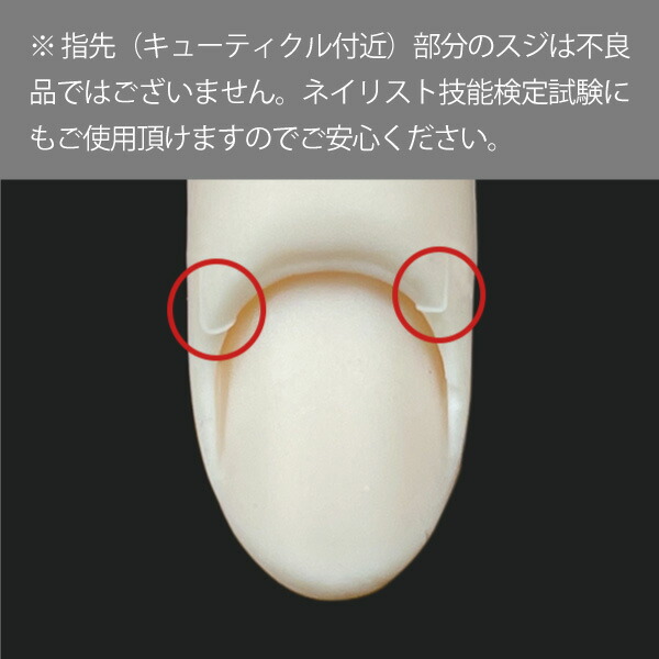 楽天市場】◇JNEC認定 STモデルハンド 右手 チップ差込式(ネイルチップ