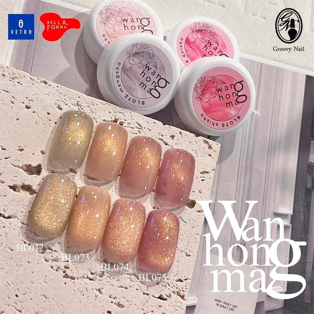 ☆VL432-443新品☆ベトロVETROくすみシアーカラージェル12色セット べトロ