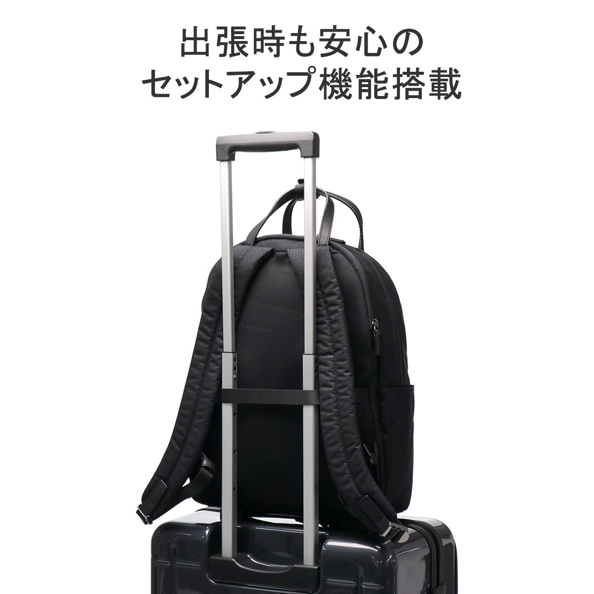 楽天市場】【最大46倍 2/25限定】【セール30%OFF】 ノベルティ付