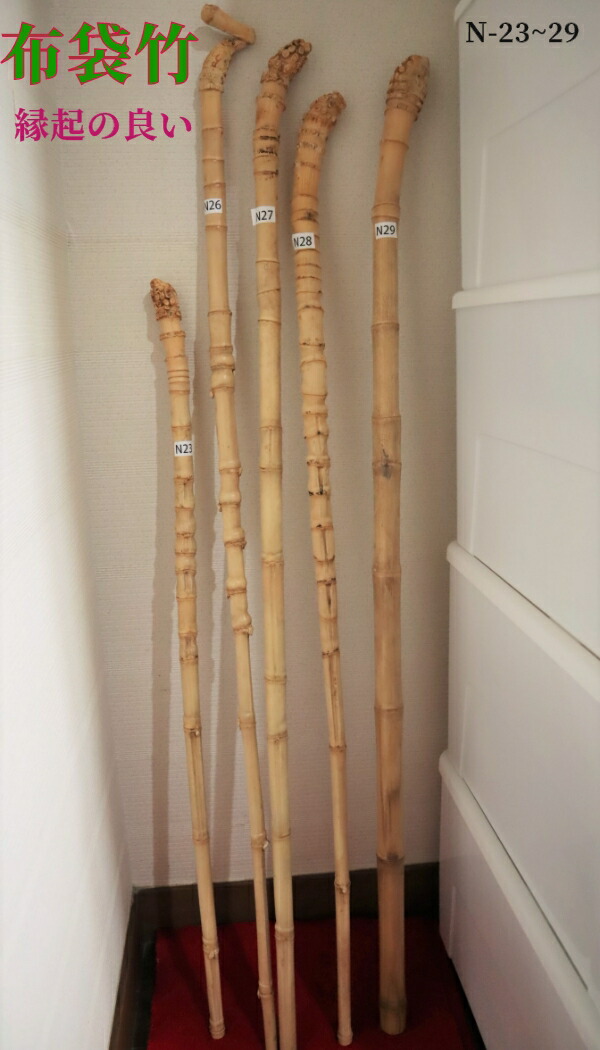 楽天市場】【布袋竹N26】 杖に最適（黄門さま気分） : はっぴ専門店