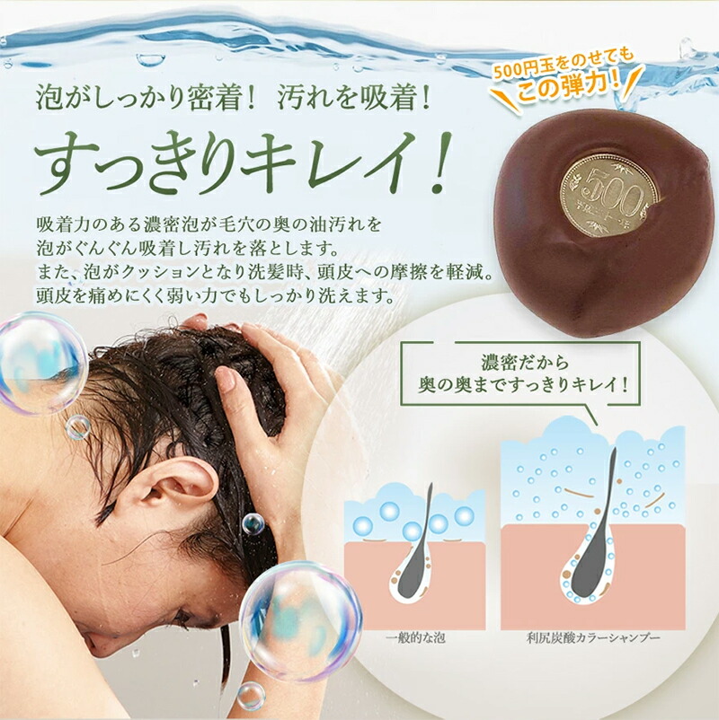 楽天市場】【スーパーSALE限定10%OFF】利尻炭酸カラーシャンプー 180g