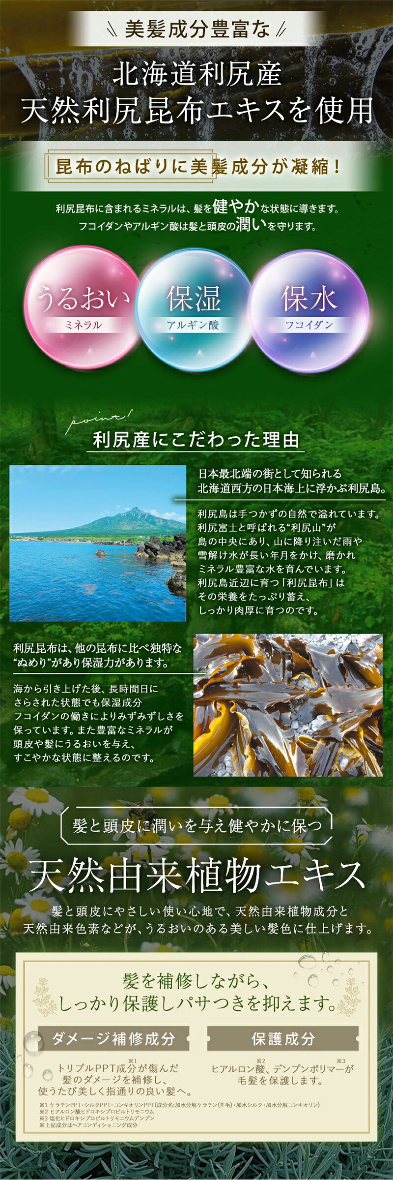 楽天市場】【スーパーSALE限定10%OFF】白髪用 利尻カラーシャンプー お