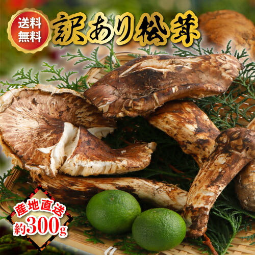 楽天市場】松茸 国産 500gの通販